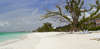 Hyatt Regency Grand Cayman Beach Suites 